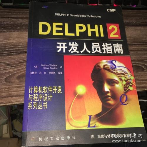 计算机软件开发与程序设计系列丛书: delphi 2开发人员指南